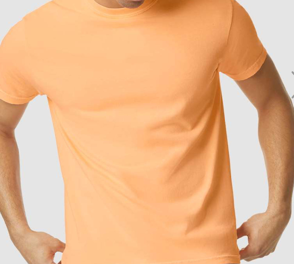 COMFORT COLORS (PRE-ORDER ONLY)